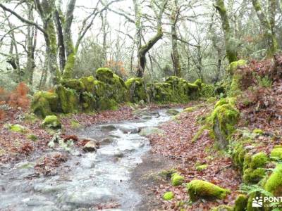 Ribeira Sacra-Cañón y Riberas del Sil; parque nacional peneda geres rutas mirador del sueve ruinas c